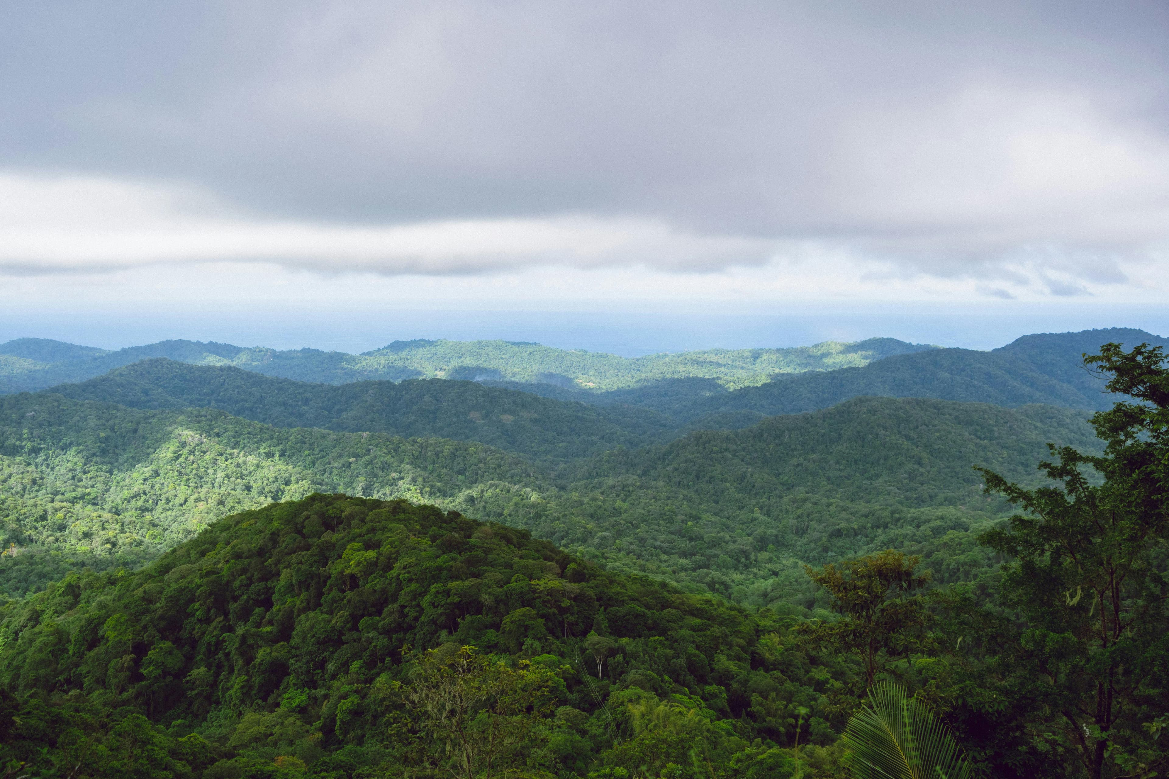 Rolling green tropical hills of Negros