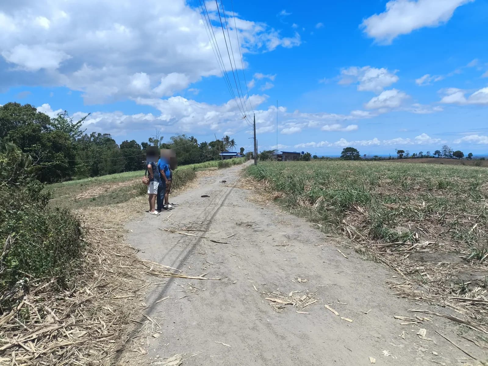 A narrow road between agricultural fields, with three people at the left edge, utility poles, overhead wires, and small buildings farther along the road