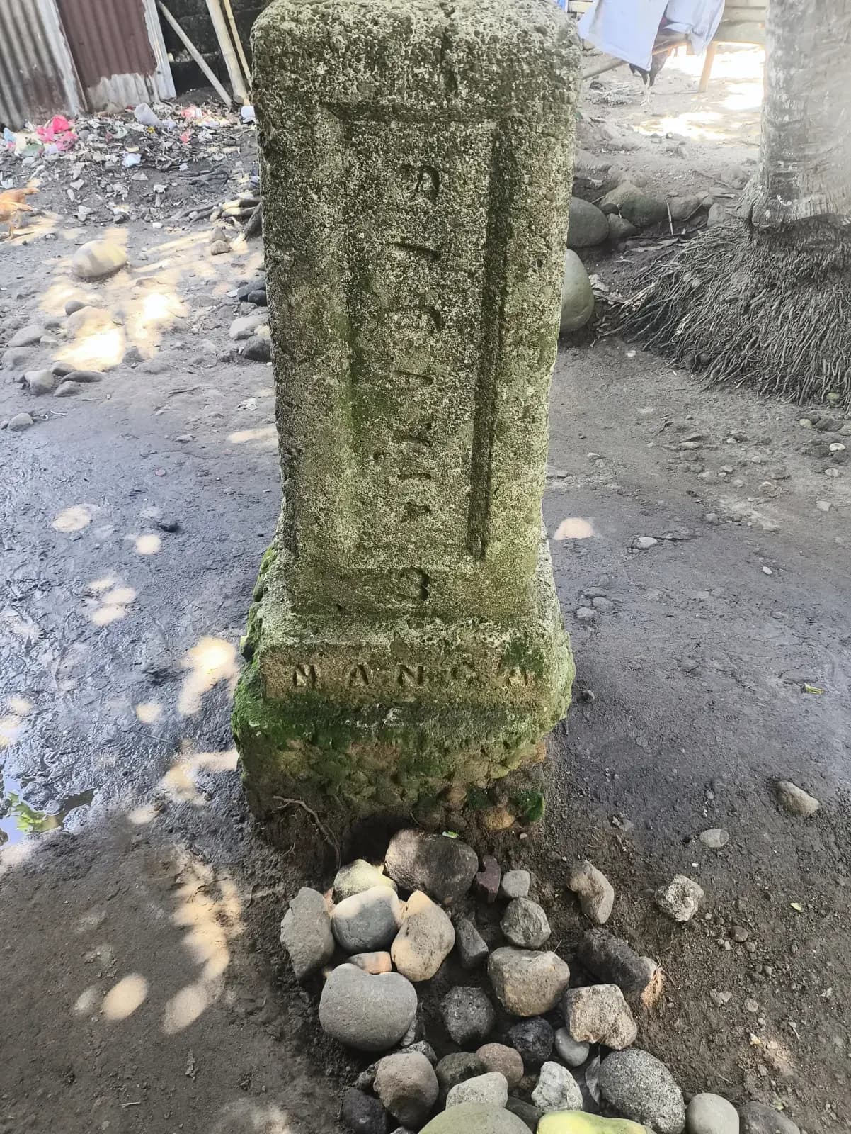 Close view of an existing concrete survey monument beside stones and tree roots in E. B. Magalona