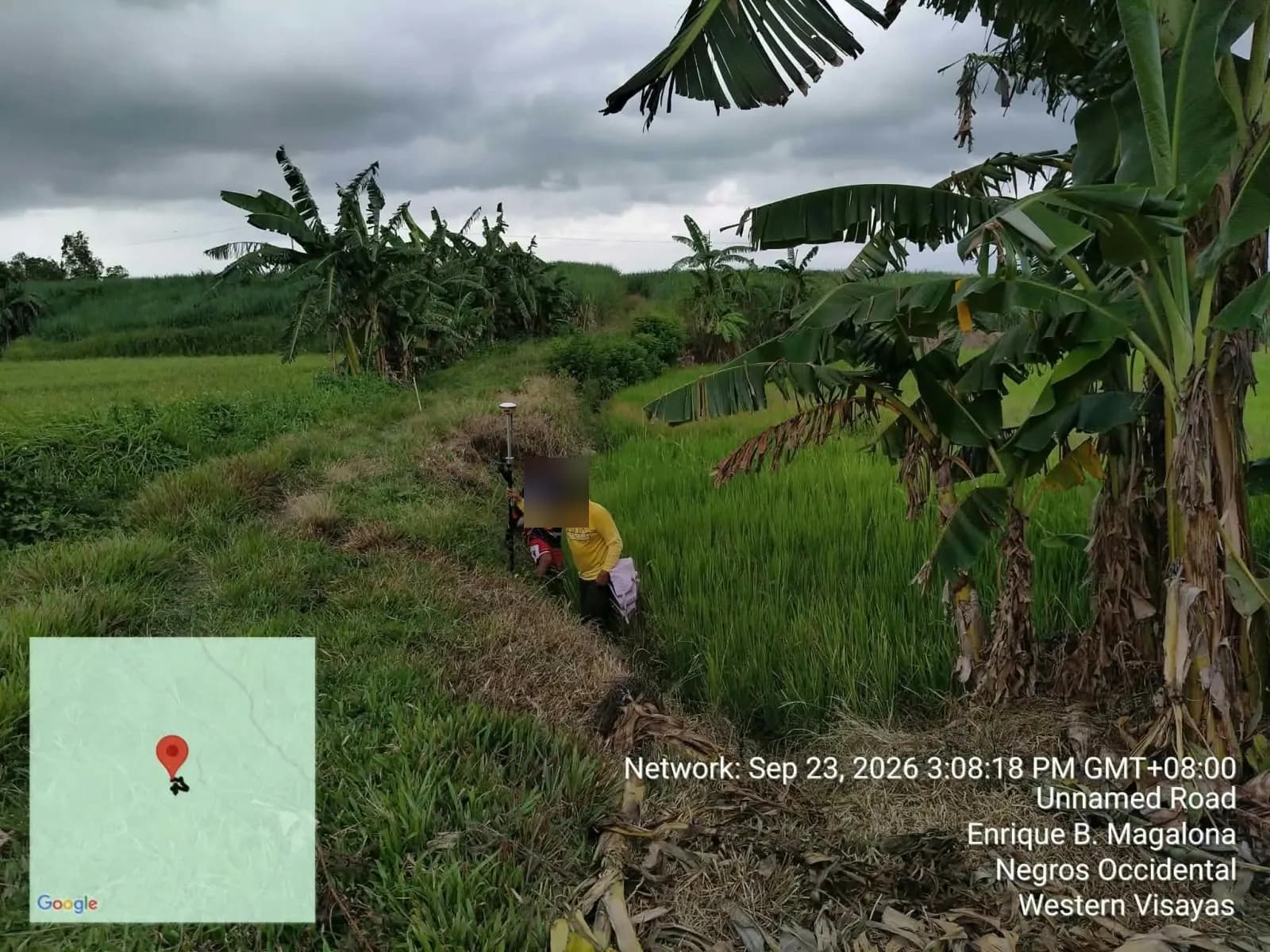 Two crew members carrying a GNSS pole along a narrow rice-field embankment