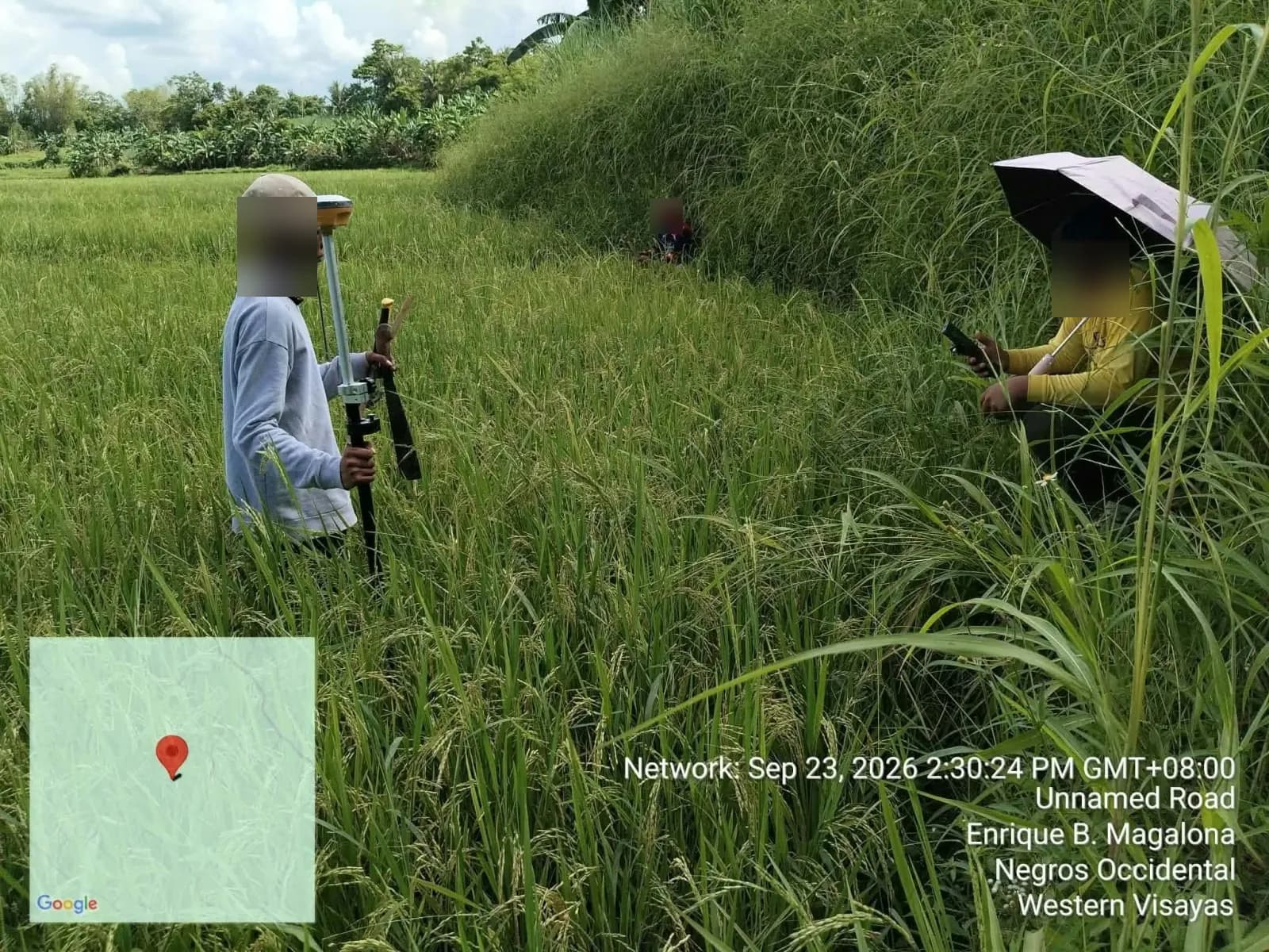 GNSS pole holder in a rice field beside a crew member using a controller under an umbrella