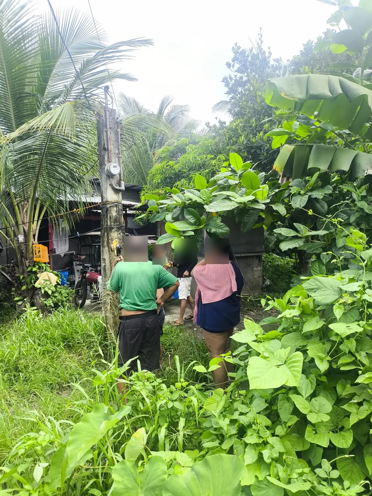 People gathered beside a utility pole and a small home among coconut palms, banana plants, and dense ground cover