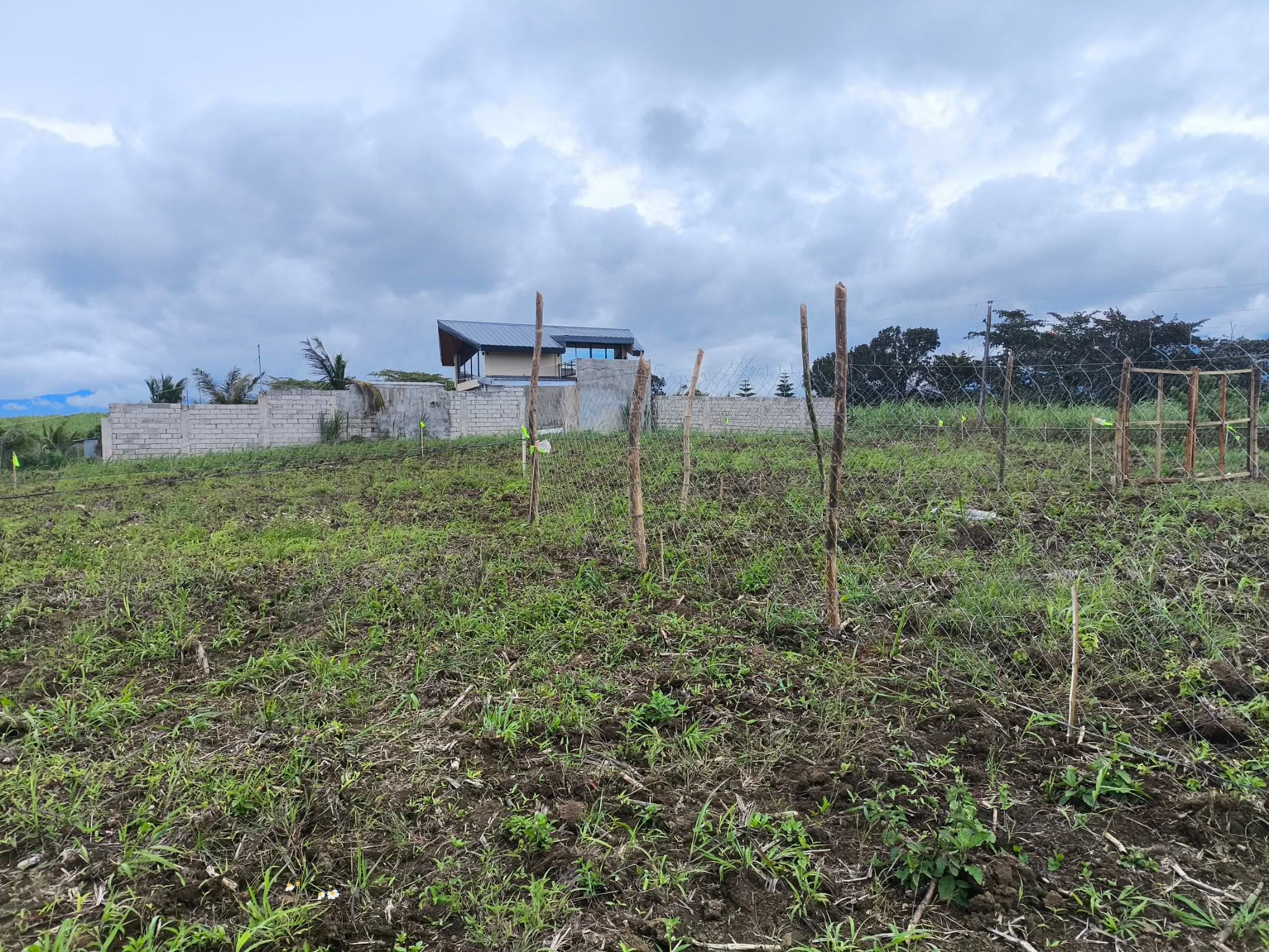 Surveyor measuring an improved property for an as-built survey in Negros