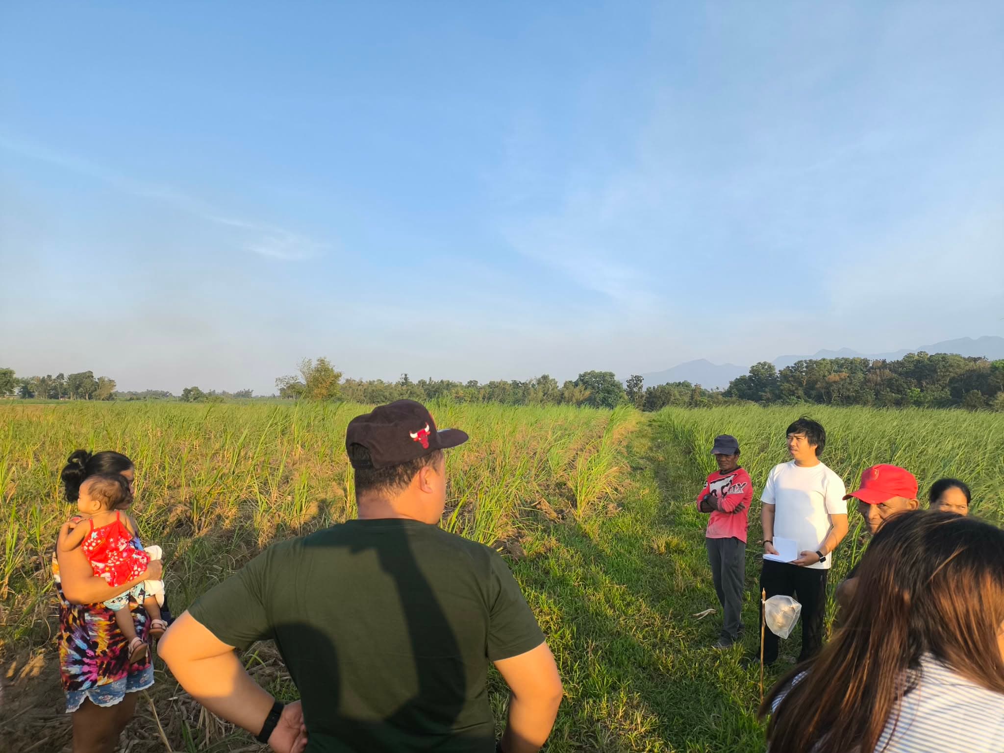 Surveyor briefing a group of landowners in a sugarcane field in Negros